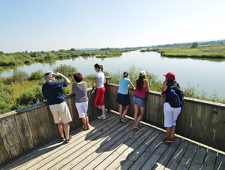 Gäste genießen vom Aussichtsturm auf der Vogelinsel die einmalige Aussicht über den Altmühlsee und die ganze Region