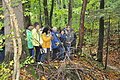 Landkreistour in den Jura und Naturpark Altmühltal: Eine Reise durch die Geschichte