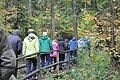 Landkreistour in den Jura und Naturpark Altmühltal: Eine Reise durch die Geschichte