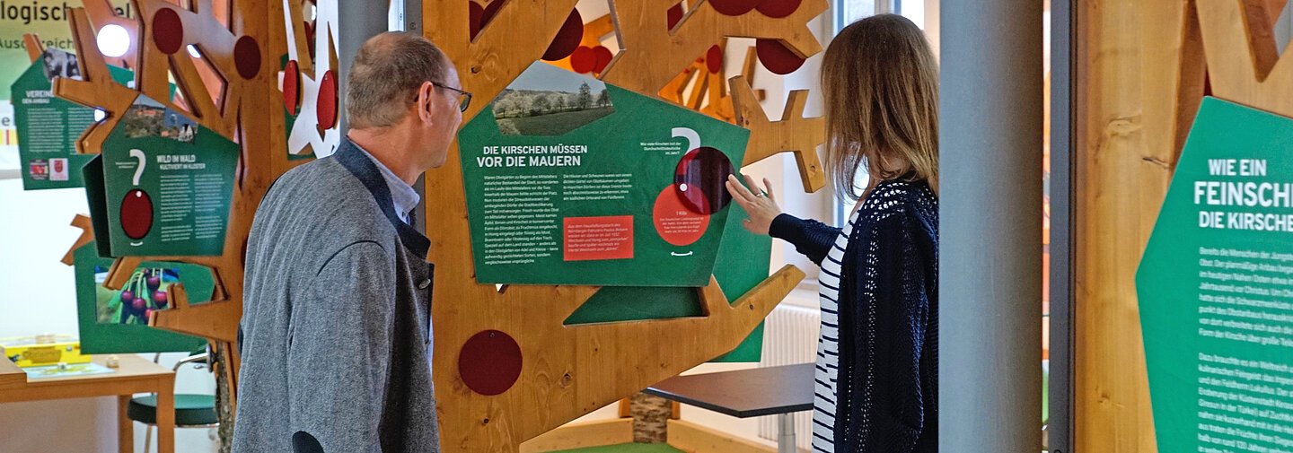 Zwei Besucher die die Stationen in der Kirschenausstellung erkunden.