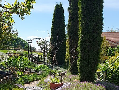 2025 - Tag der offenen Gartentür -Kunst im Garten