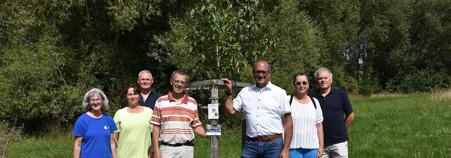 Landrat Manuel Westphal steht mit einer Gruppe Bürgern aus Polsingen vor dem Jubiläumsbaum, der 2022 anlässlich des Landkreisjubiläums gepflanzt wurde.
