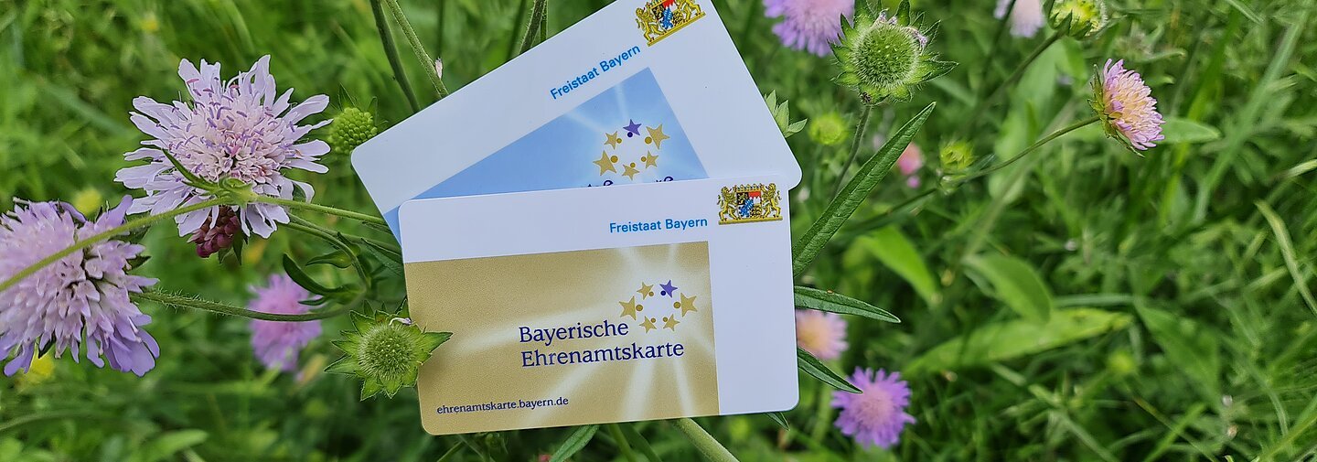 Zwei Ehrenamtskarten, eine blaue und eine goldene, liegen auf einer grünen Wiese, umgeben von lila Blumen