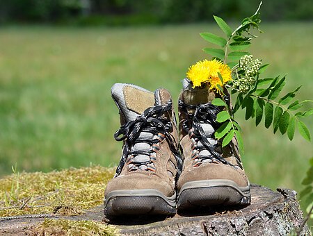 Wanderschuhe Blumenwiese Sommer