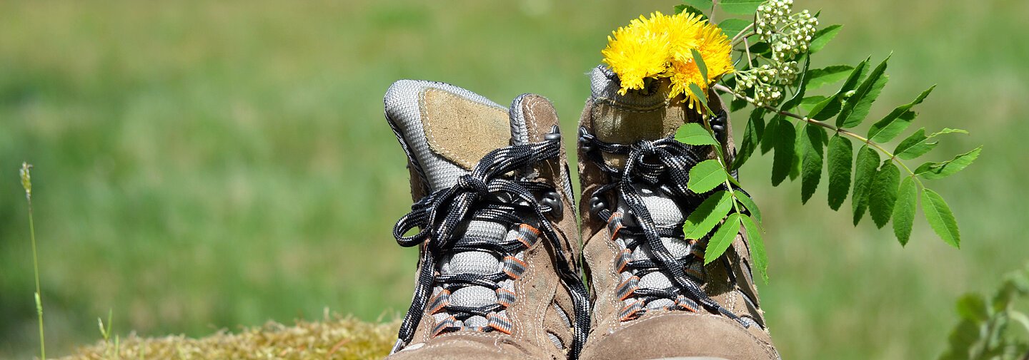 Wanderschuhe Blumenwiese Sommer